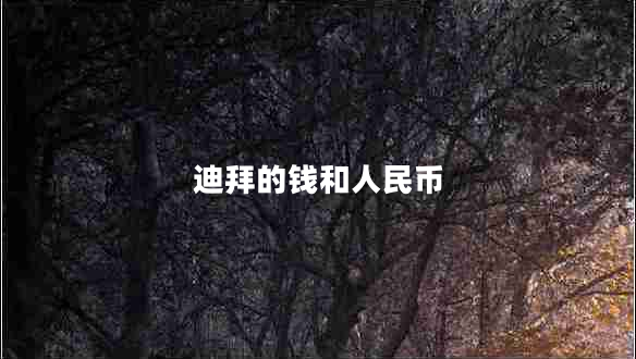 迪拜的錢和人民幣