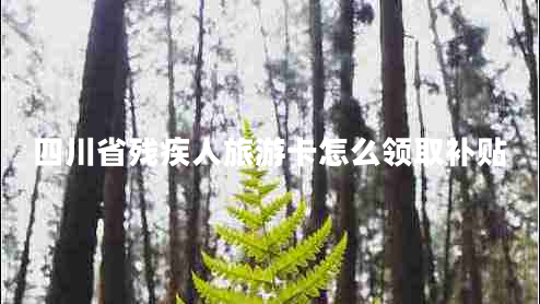 四川省殘疾人旅游卡怎么領(lǐng)取補(bǔ)貼