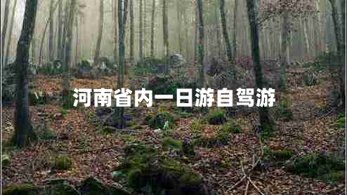 河南省內(nèi)一日游自駕游 河南省內(nèi)一日游自駕游