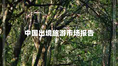 中國(guó)出境旅游市場(chǎng)報(bào)告 中國(guó)出境旅游市場(chǎng)報(bào)告