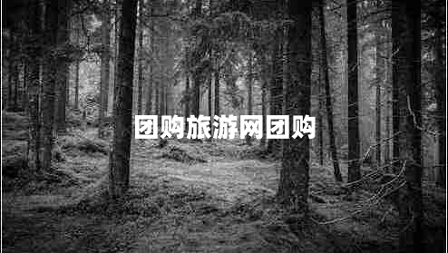 團(tuán)購旅游網(wǎng)團(tuán)購