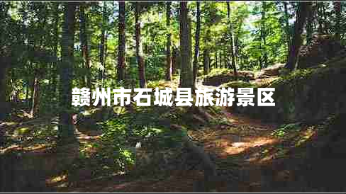 贛州市石城縣旅游景區(qū)