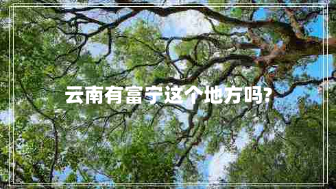 云南有富寧這個地方嗎? 云南有富寧這個地方嗎?
