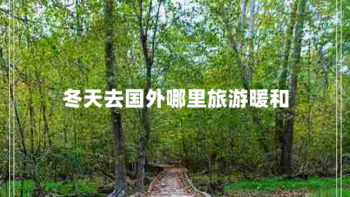 冬天去國(guó)外哪里旅游暖和