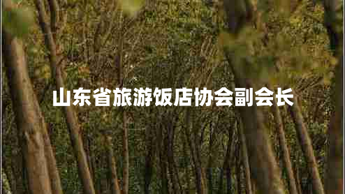 山東省旅游飯店協(xié)會(huì)副會(huì)長(zhǎng) 山東省旅游飯店協(xié)會(huì)副會(huì)長(zhǎng)