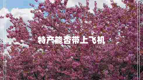 特產(chǎn)能否帶上飛機(jī) 特產(chǎn)能否帶上飛機(jī)