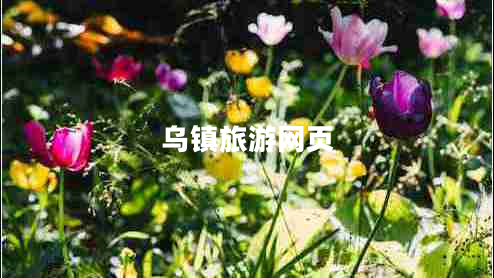 烏鎮(zhèn)旅游網(wǎng)頁(yè)