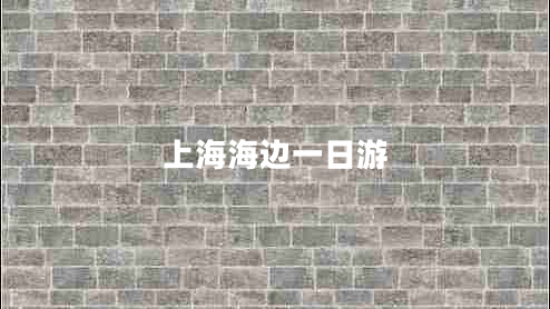 上海海邊一日游