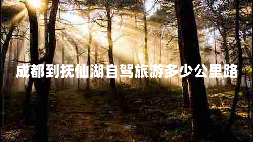 成都到撫仙湖自駕旅游多少公里路