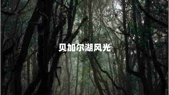 貝加爾湖風(fēng)光