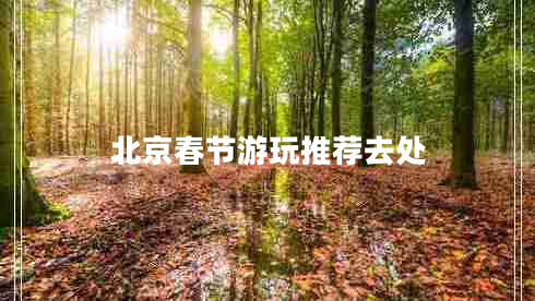 北京春節(jié)游玩推薦去處 北京春節(jié)游玩推薦去處