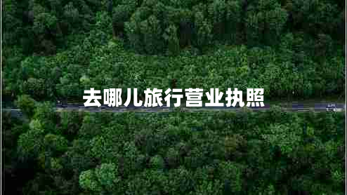 去哪兒旅行營業(yè)執(zhí)照