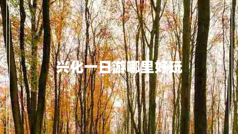 興化一日游哪里好玩