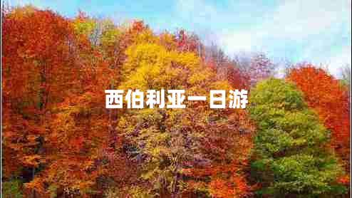 西伯利亞一日游 西伯利亞一日游