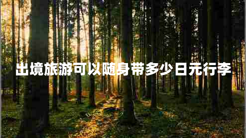 出境旅游可以隨身帶多少日元行李