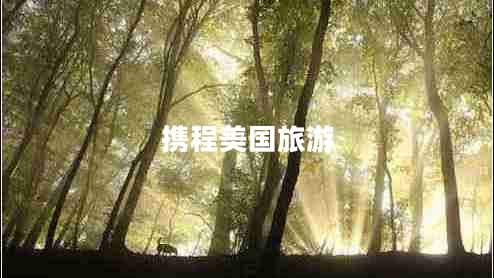 攜程美國旅游