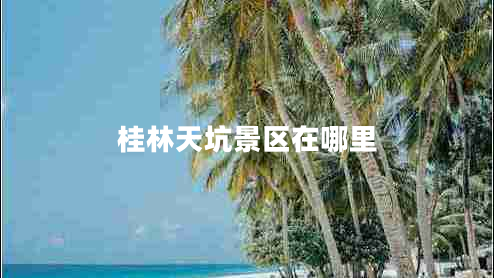 桂林天坑景區(qū)在哪里