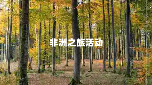 非洲之旅活動(dòng)