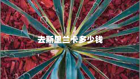 去斯里蘭卡多少錢