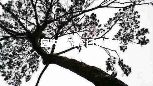 國(guó)內(nèi)旅游冷門景點(diǎn) 國(guó)內(nèi)旅游冷門景點(diǎn)