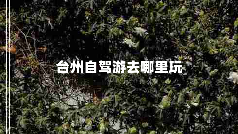 臺(tái)州自駕游去哪里玩 臺(tái)州自駕游去哪里玩