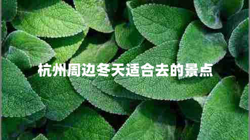 杭州周邊冬天適合去的景點 杭州周邊冬天適合去的景點