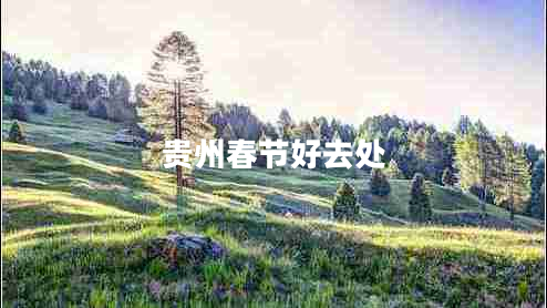 貴州春節(jié)好去處