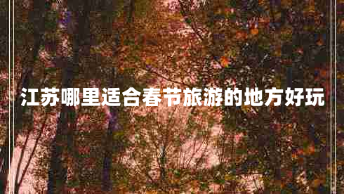 江蘇哪里適合春節(jié)旅游的地方好玩