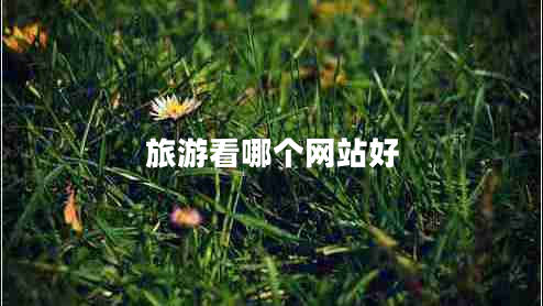 旅游看哪個(gè)網(wǎng)站好