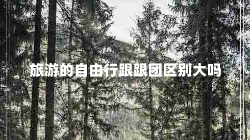 旅游的自由行跟跟團區(qū)別大嗎 旅游的自由行跟跟團區(qū)別大嗎