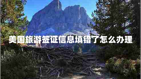 美國旅游簽證信息填錯(cuò)了怎么辦理 美國旅游簽證信息填錯(cuò)了怎么辦理