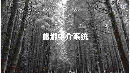旅游中介系統(tǒng)