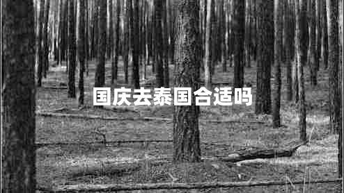 國慶去泰國合適嗎