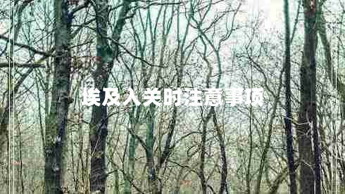 埃及入關(guān)時(shí)注意事項(xiàng)