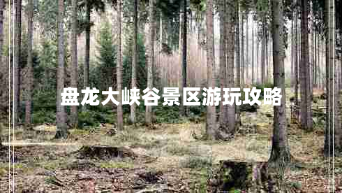 盤龍大峽谷景區(qū)游玩攻略 盤龍大峽谷景區(qū)游玩攻略