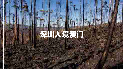 深圳入境澳門 深圳入境澳門