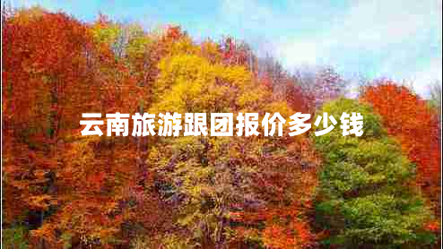 云南旅游跟團(tuán)報價多少錢