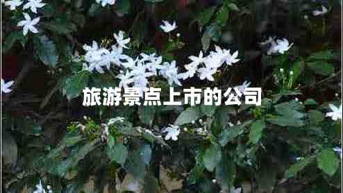 旅游景點上市的公司