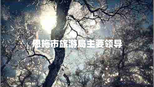 恩施市旅游局主要領(lǐng)導(dǎo) 恩施市旅游局主要領(lǐng)導(dǎo)