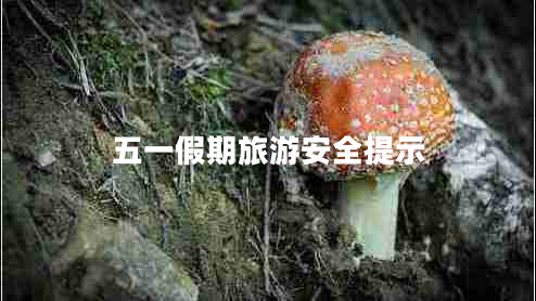 五一假期旅游安全提示 五一假期旅游安全提示