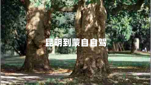 昆明到蒙自自駕