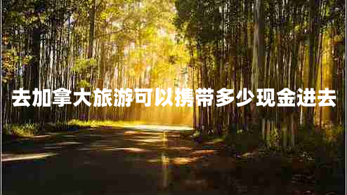 去加拿大旅游可以攜帶多少現(xiàn)金進去 去加拿大旅游可以攜帶多少現(xiàn)金進去