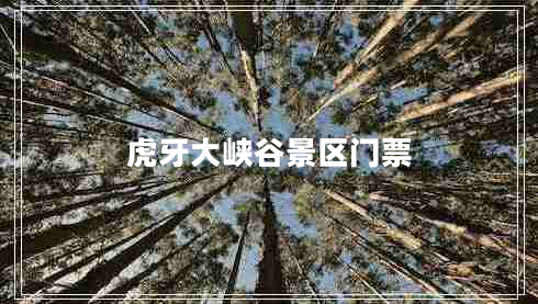 虎牙大峽谷景區(qū)門票 虎牙大峽谷景區(qū)門票