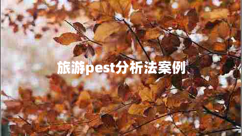 旅游pest分析法案例 旅游pest分析法案例