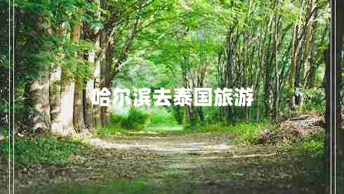 哈爾濱去泰國旅游