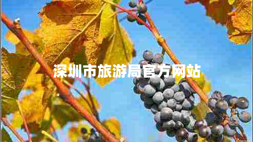 深圳市旅游局官方網(wǎng)站