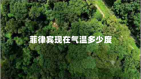 菲律賓現(xiàn)在氣溫多少度