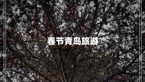 春節(jié)青島旅游