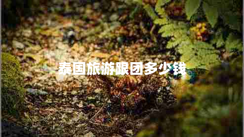 泰國旅游跟團(tuán)多少錢