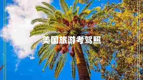 美國(guó)旅游考駕照